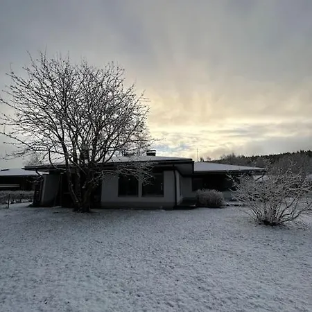 Arctic Birch *