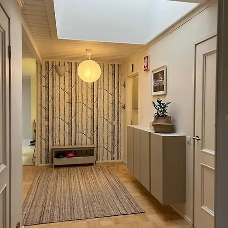 Arctic Birch 로바니에미