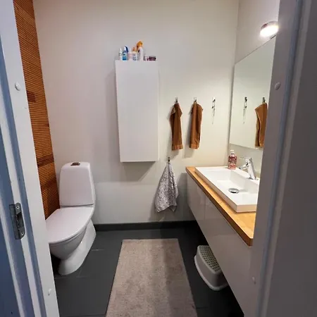 Villa Arctic Birch Rovaniemi