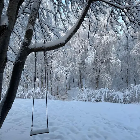 Villa Arctic Birch