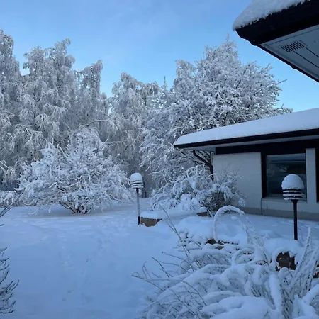 Villa Arctic Birch